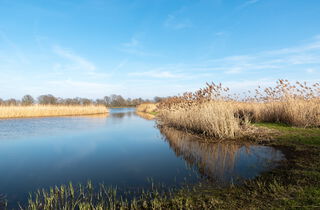 Urlaub im Oderbruch | Ferienwohnungen in Altlewin und Gusow-Platkow | Impressionen