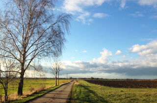 Urlaub im Oderbruch | Ferienwohnungen in Altlewin und Gusow-Platkow | Impressionen