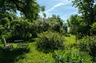 Urlaub im Oderbruch | Ferienwohnungen in Altlewin und Gusow-Platkow | Impressionen