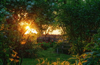 Urlaub im Oderbruch | Ferienwohnungen in Altlewin und Gusow-Platkow | Impressionen