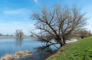 Urlaub im Oderbruch | Ferienwohnungen in Altlewin und Gusow-Platkow | Impressionen
