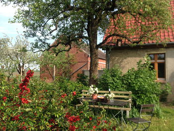 Ferienhaus Hollerbusch in Gusow-Platkow im Oderbruch
