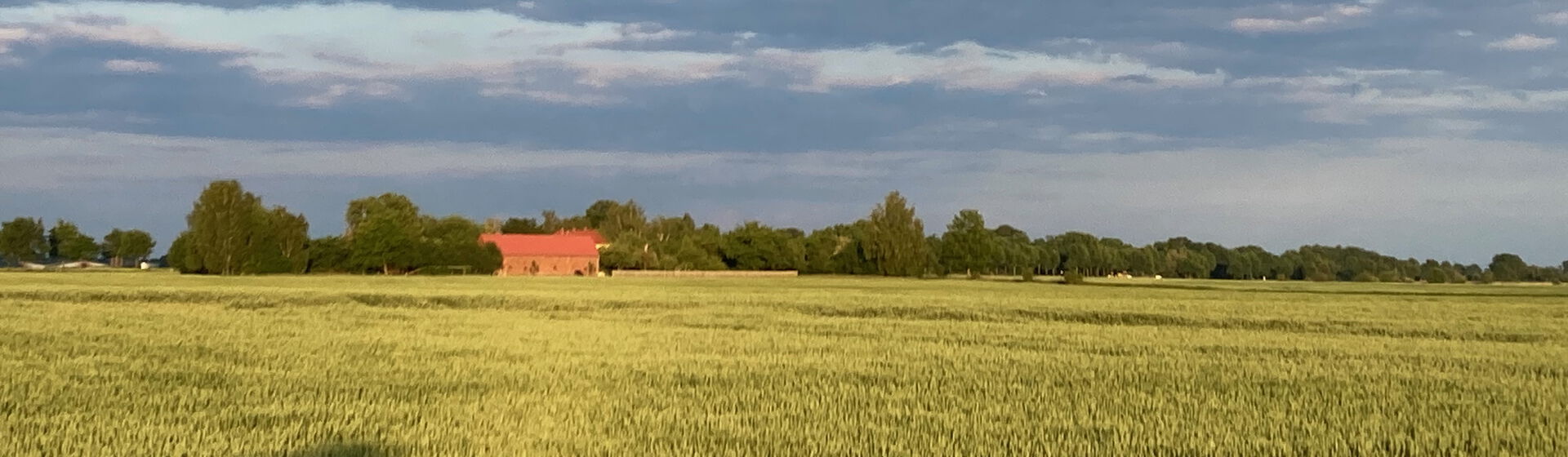 Ferienhaus Hollerbusch in Gusow-Platkow im Oderbruch