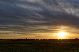 Urlaub im Oderbruch | Ferienwohnungen in Altlewin und Gusow-Platkow